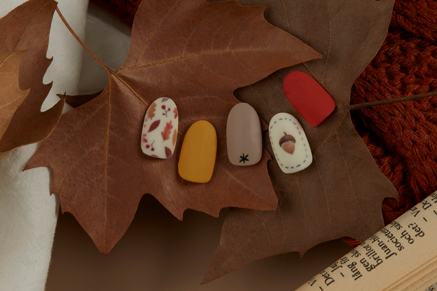 Delicious Chestnut