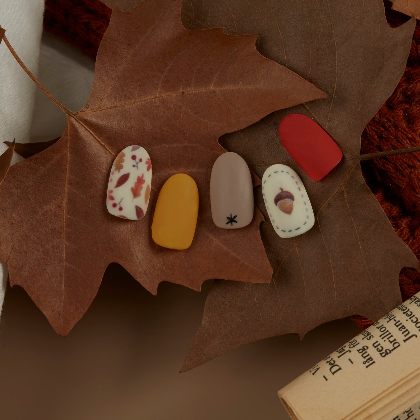 Delicious Chestnut