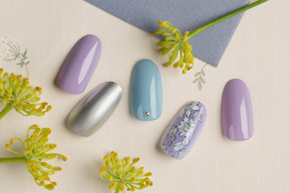 Simple Elegant White Flower